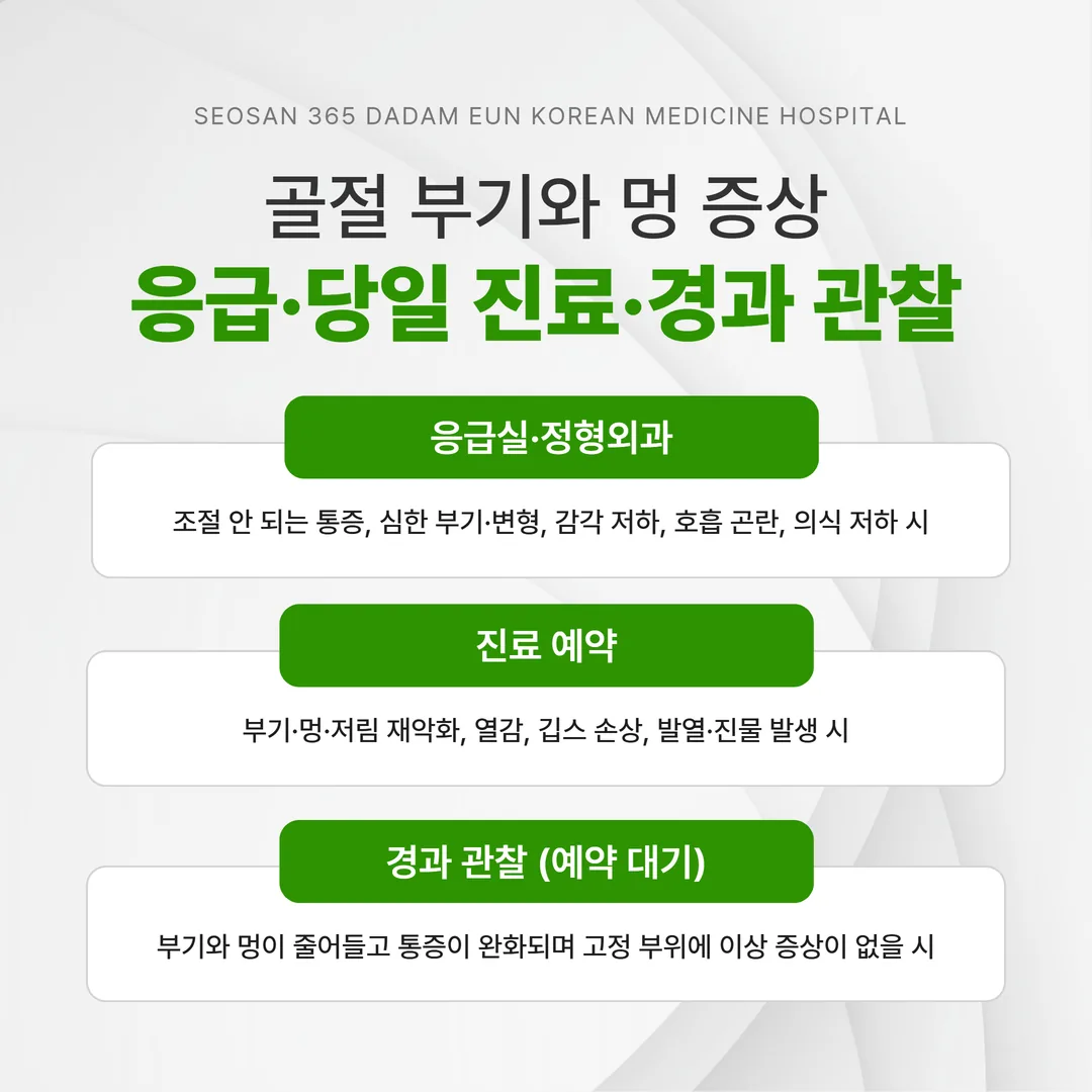 골절 부기와 멍 증상을 응급·당일 진료·경과 관찰로 나눈 판단 흐름도