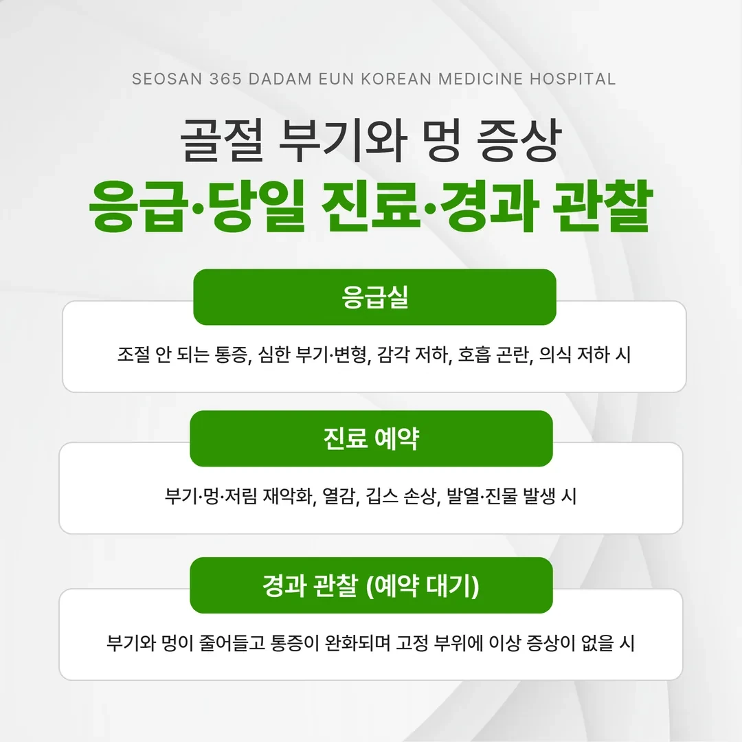 골절 부기와 멍 증상을 응급·당일 진료·경과 관찰로 나눈 판단 흐름도