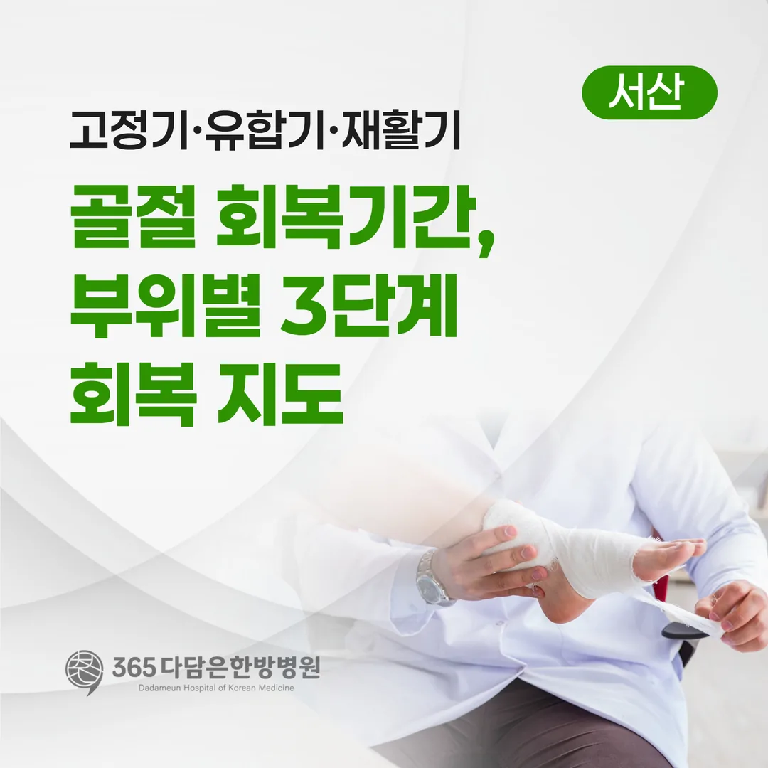 골절 회복기간, 부위별 3단계 회복 지도 — 고정기·유합기·재활기