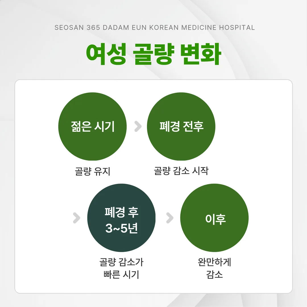 폐경 후 3~5년 골량 소실이 가장 빠른 구간을 표시한 골밀도 곡선