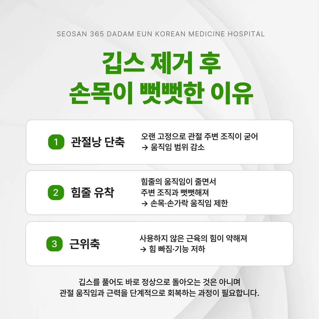 고정 기간에 생기는 관절낭 단축과 유착, 근위축을 함께 보여 주는 도해