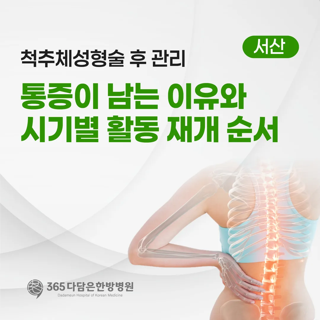 척추체성형술 후 관리 — 통증이 남는 이유와 시기별 활동 재개 순서
