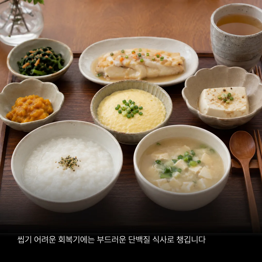 씹기 어려운 어르신을 위한 골절 회복기 부드러운 단백질 식사