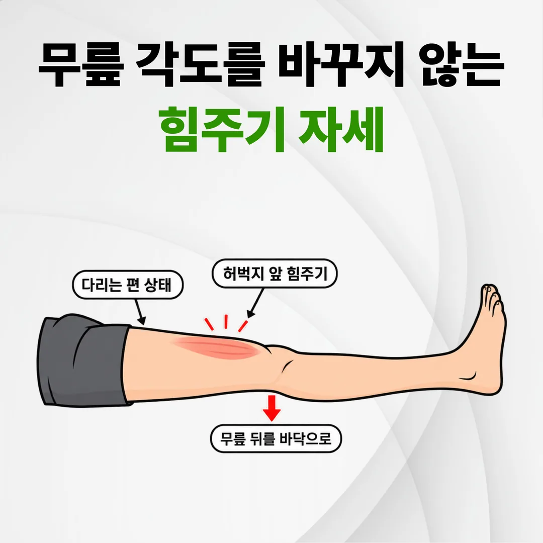 슬개골과 대퇴사두근이 이어진 무릎 신전 구조 개념도