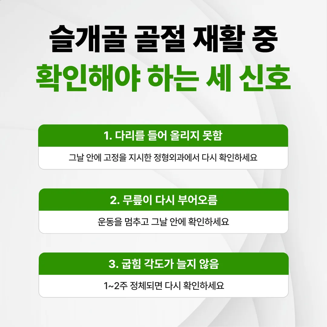 슬개골 골절 재활 중 다시 확인해야 하는 세 신호와 시점