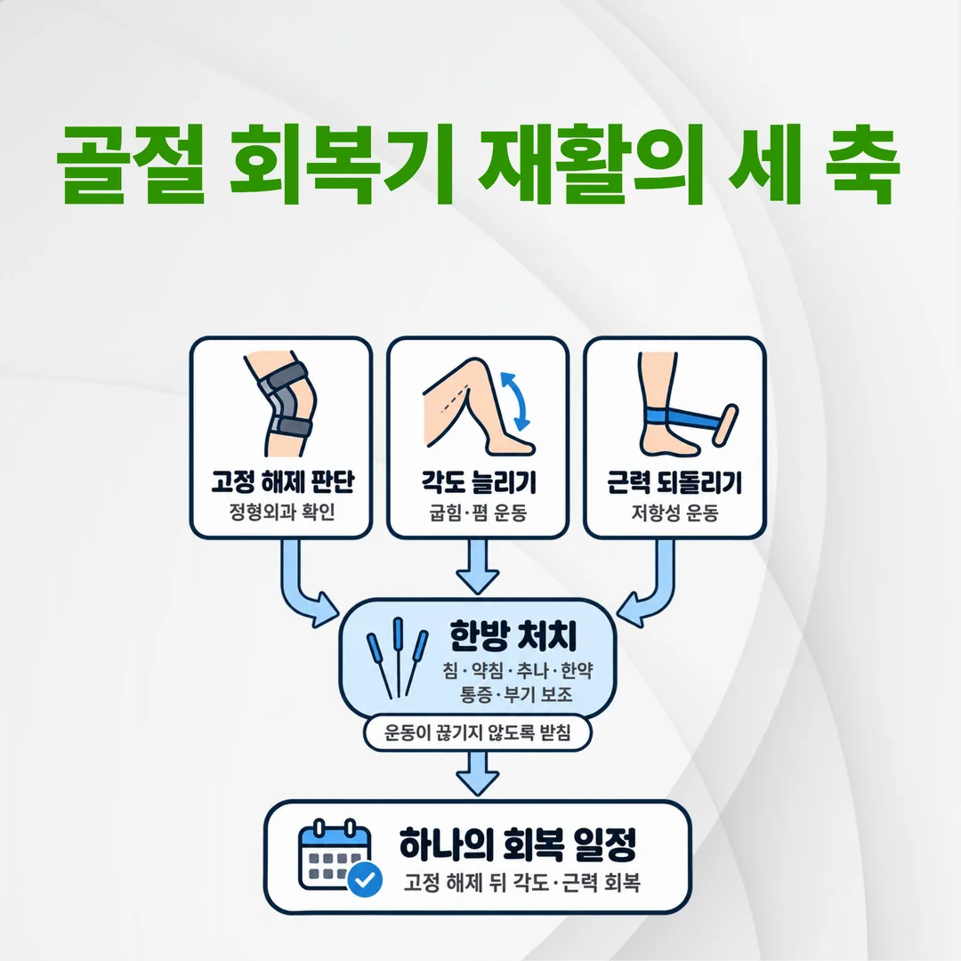 슬개골 골절 회복기 재활의 세 축 관계도