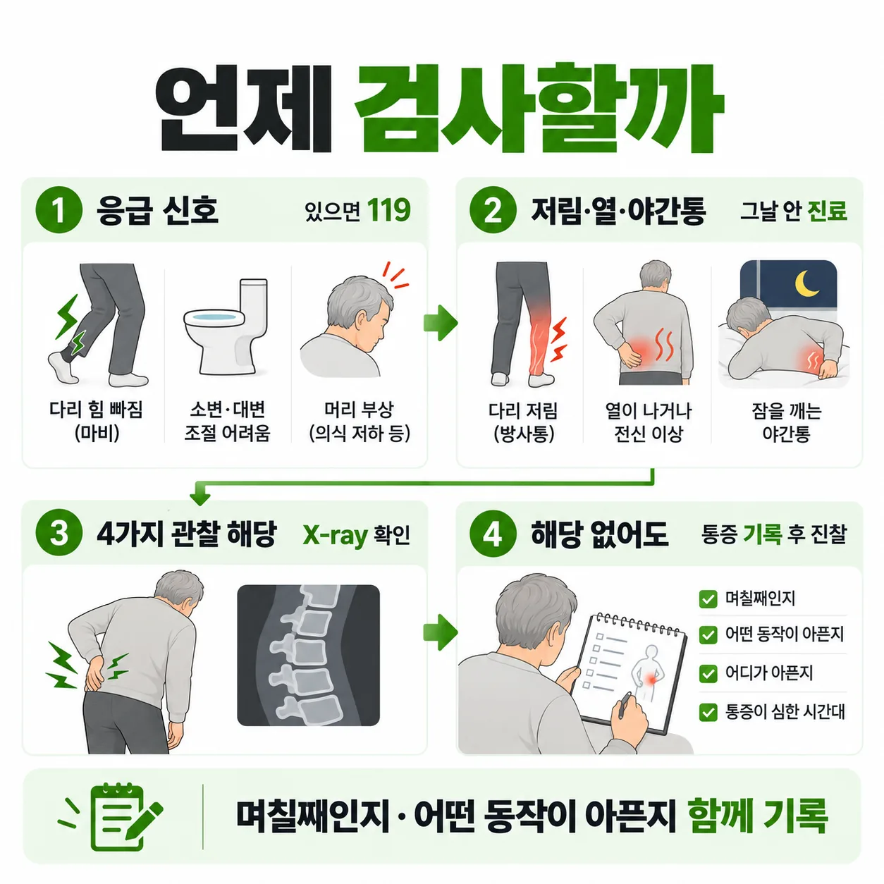 낙상 후 허리 통증에서 119, 그날 안 진료, 영상검사, 기록하며 진찰받기로 나뉘는 네 갈래 흐름도