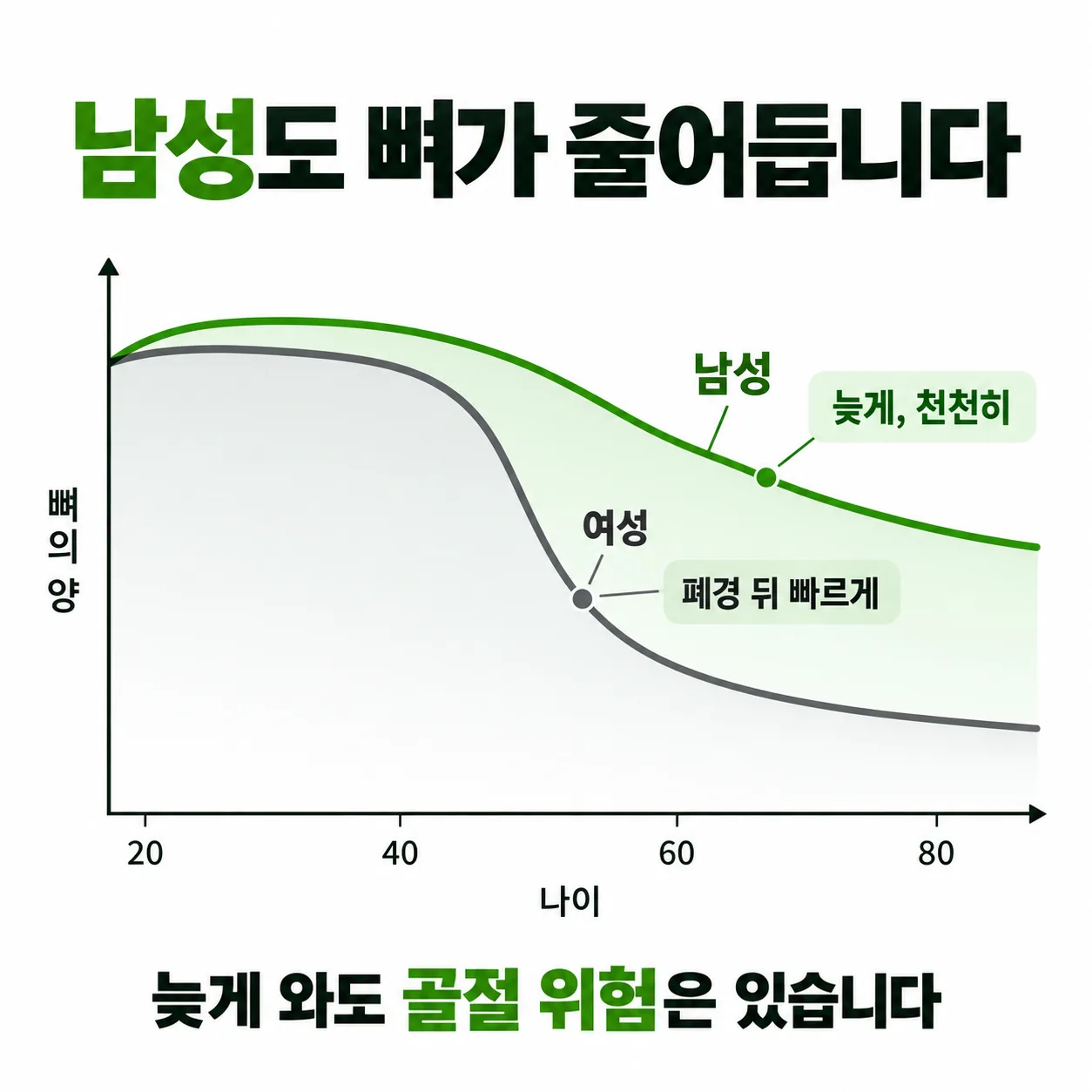 나이에 따라 남성과 여성의 뼈의 양이 줄어드는 속도를 비교한 개념도