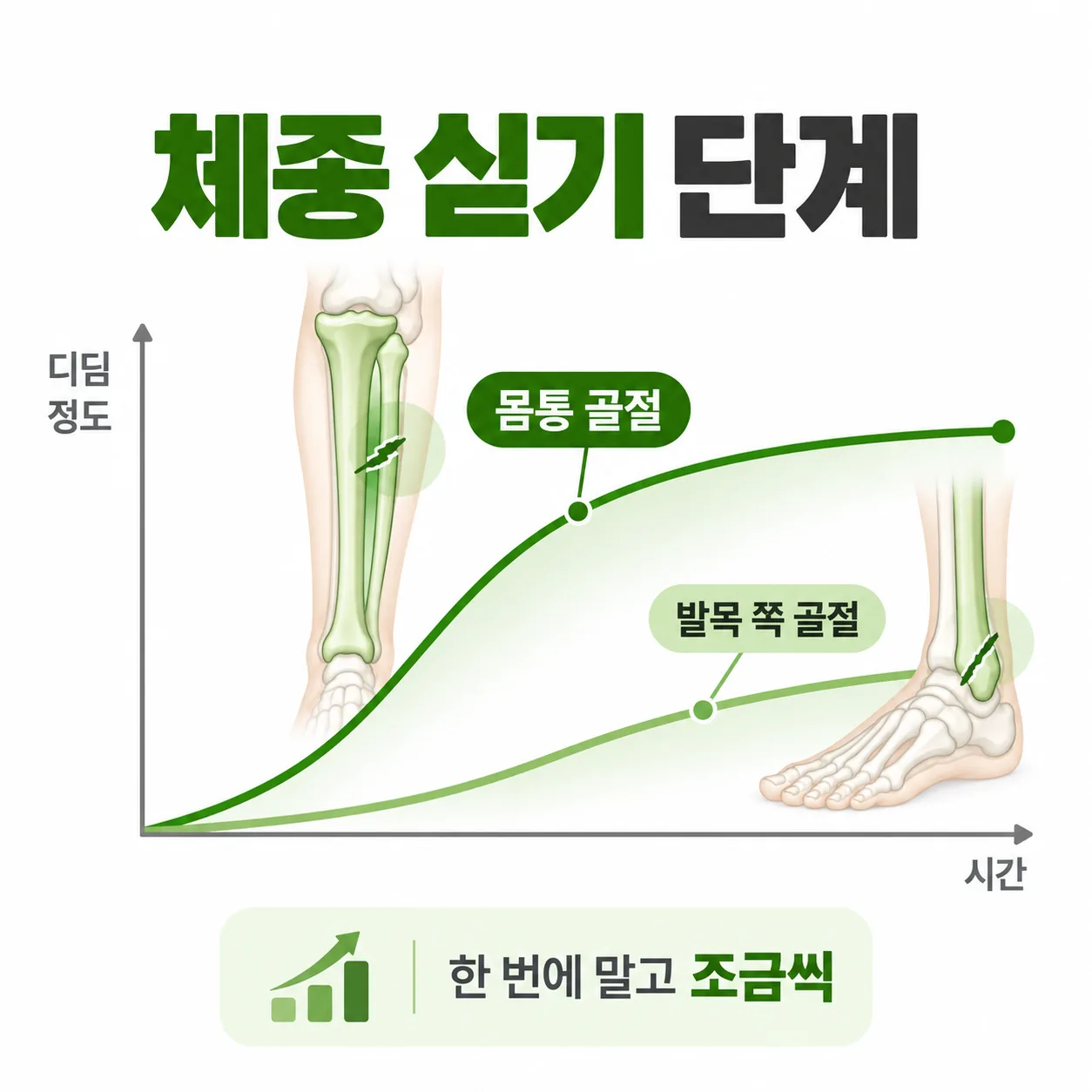 종아리뼈 골절 위치를 무릎 쪽, 가운데 몸통, 발목 쪽 세 자리로 나눈 도식