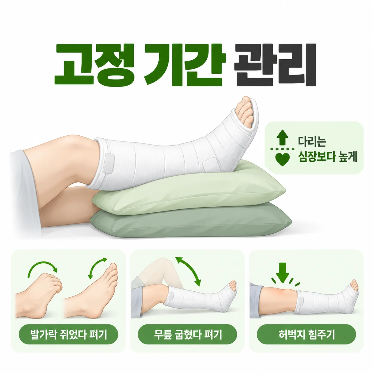 종아리뼈 골절 고정 기간에 다리를 올리고 발가락, 무릎, 허벅지를 움직이는 방법 안내 카드