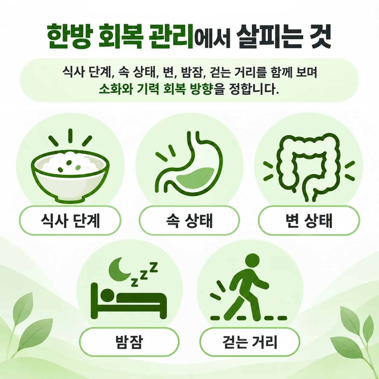 한방 회복 관리 진찰에서 여쭙는 소화와 기력 다섯 가지 정리도